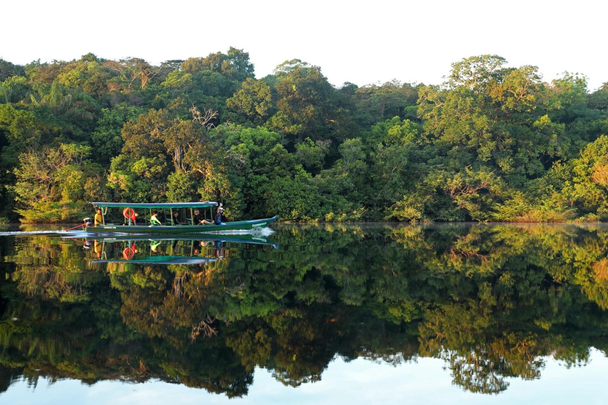 Amazon Ecopark Jungle Lodge มาเนาส์ ภายนอก รูปภาพ